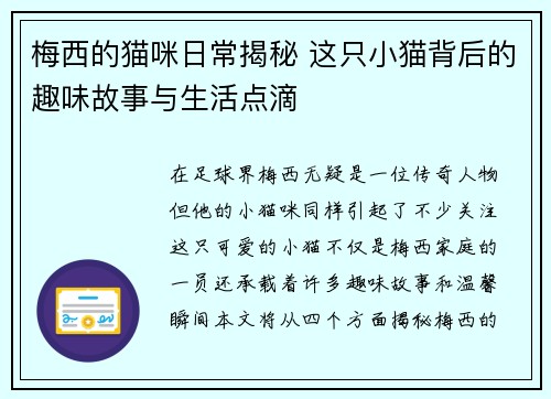 梅西的猫咪日常揭秘 这只小猫背后的趣味故事与生活点滴